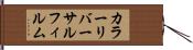 カラーリバーサルフィルム Hand Scroll