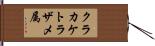 クラカケトラザメ属 Hand Scroll