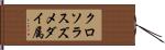 クロソラスズメダイ属 Hand Scroll