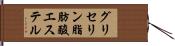 グリセリン脂肪酸エステル Hand Scroll
