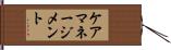 ケアマネージメント Hand Scroll