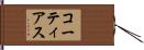 コーティアス Hand Scroll