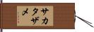 サカタザメ Hand Scroll