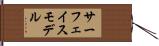 サーフェイス・モデル Hand Scroll