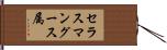 セラスマングース属 Hand Scroll