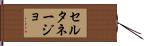 セルタネージョ Hand Scroll