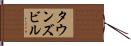 タウンズビル Hand Scroll