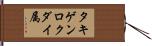 タキゲンロクダイ属 Hand Scroll