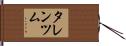 タレンツム Hand Scroll