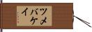 ツメバケイ Hand Scroll