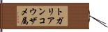 トガリアンコウザメ属 Hand Scroll