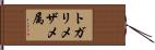 トガリメザメ属 Hand Scroll
