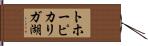 トホーピカリガ湖 Hand Scroll