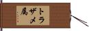 トラザメ属 Hand Scroll