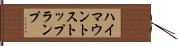 ハイマウントストップランプ Hand Scroll