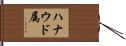 ハナウド属 Hand Scroll