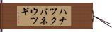 ハナツクバネウツギ Hand Scroll