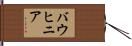 バウヒニア Hand Scroll