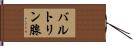バルトリン腺 Hand Scroll