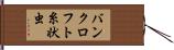 バンクロフト糸状虫 Hand Scroll