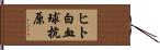 ヒト白血球抗原 Hand Scroll