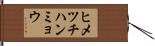 ヒメツチハンミョウ Hand Scroll