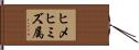 ヒメヒミズ属 Hand Scroll