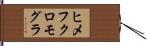 ヒメフクロモグラ Hand Scroll