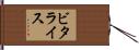 ビタライス Hand Scroll