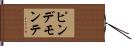 ピンデモンテ Hand Scroll