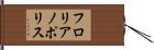 フロリアノポリス Hand Scroll