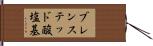 ブレンステッド酸塩基 Hand Scroll