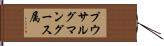 プウサルグマングース属 Hand Scroll