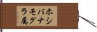 ホシバナモグラ属 Hand Scroll