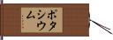 ポタシウム Hand Scroll
