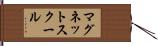 マグネット・スクール Hand Scroll