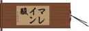 マレイン酸 Hand Scroll