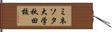 ミネソタ大学秋田校 Hand Scroll