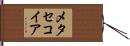 メタセコイア Hand Scroll