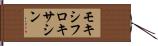 モキシフロキサシン Hand Scroll