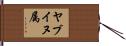ヤブイヌ属 Hand Scroll