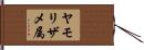 ヤモリザメ属 Hand Scroll