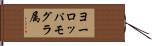 ヨーロッパモグラ属 Hand Scroll