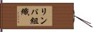 リンパ組織 Hand Scroll