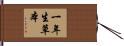 一年生草本 Hand Scroll