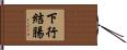 下行結腸 Hand Scroll