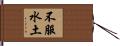 不服水土 Hand Scroll