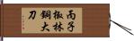 丙子椒林銅大刀 Hand Scroll