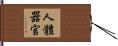 人體器官 Hand Scroll
