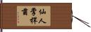 仙人掌桿菌 Hand Scroll